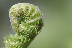 Cricket Betting Tips for Beginners